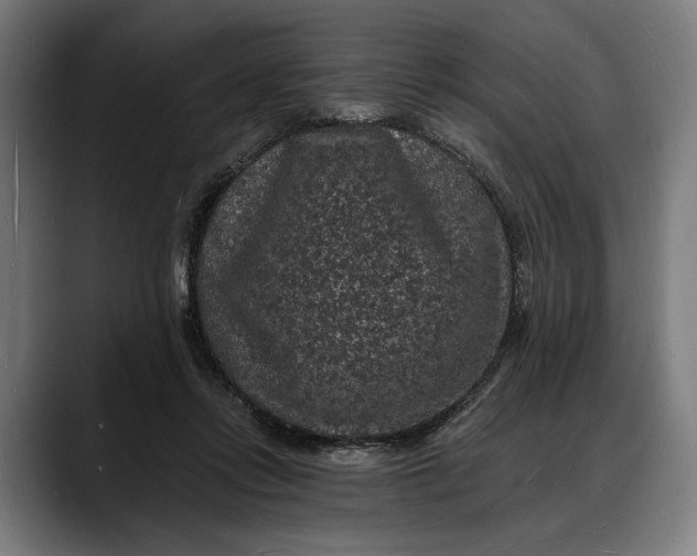 X0000088080358200705251413