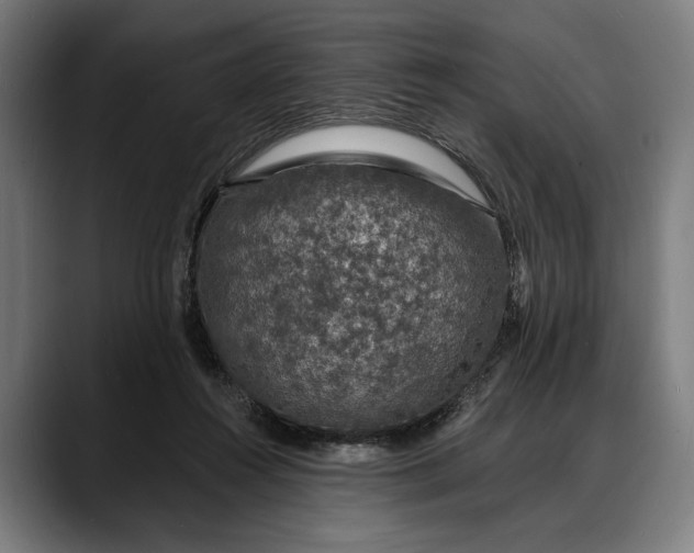 X0000088080360200705251413
