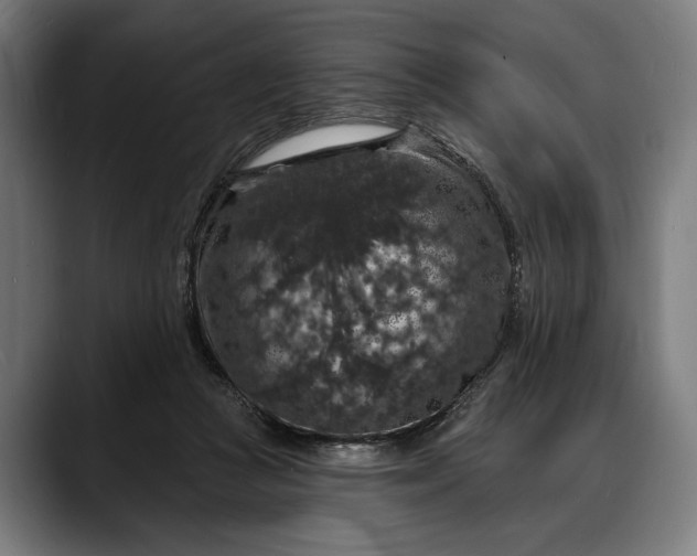 X0000088080361200705251413