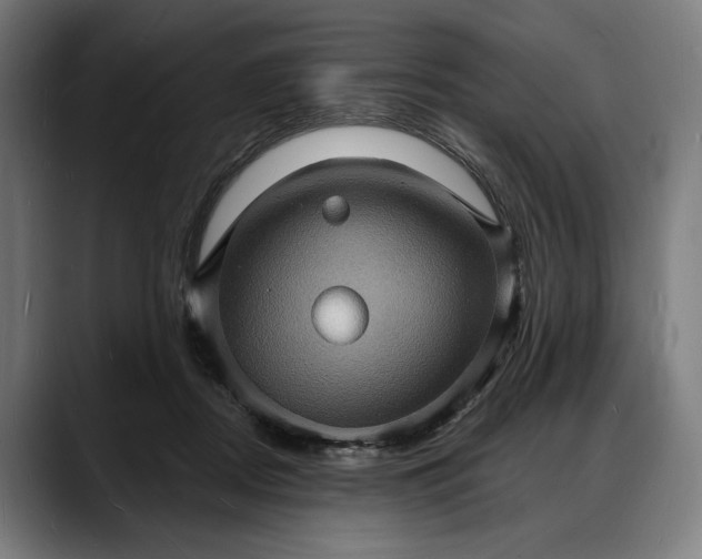 X0000088080362200705251413