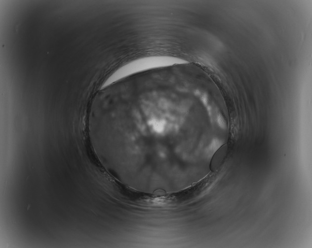 X0000088080365200705251413