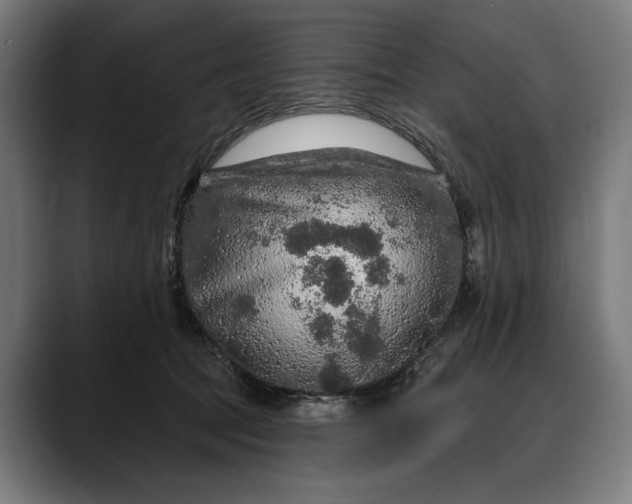 X0000088080369200705251413