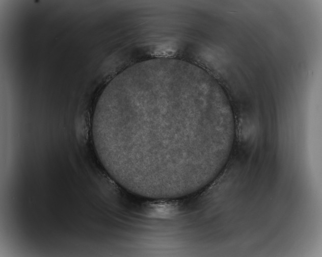 X0000088080370200705251413