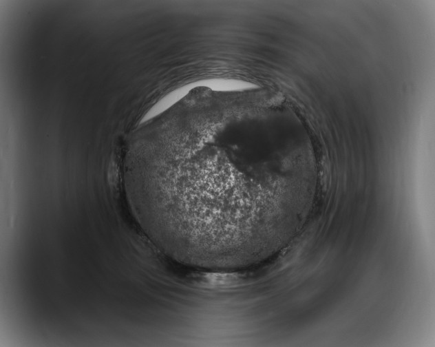 X0000088080371200705251413