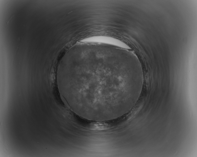 X0000088080372200705251413