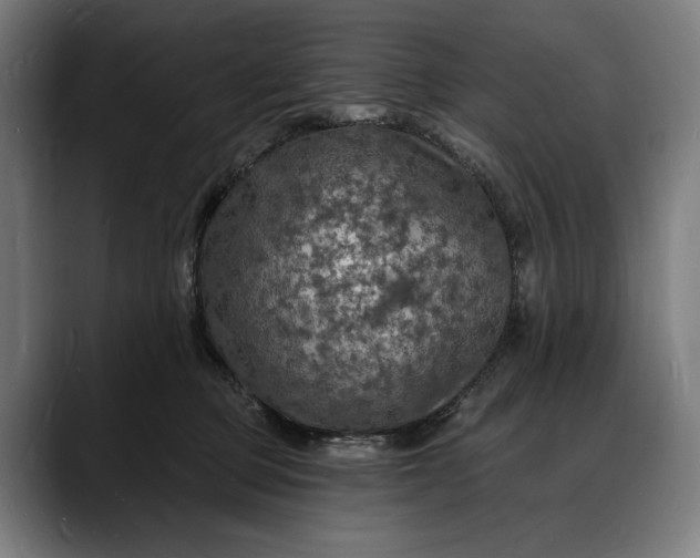 X0000088080373200705251413