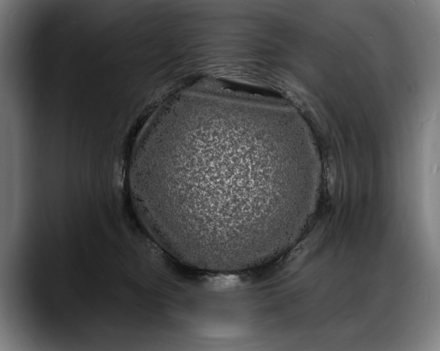 X0000088080374200705251413