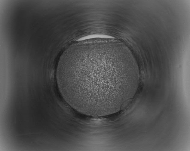 X0000088080375200705251413