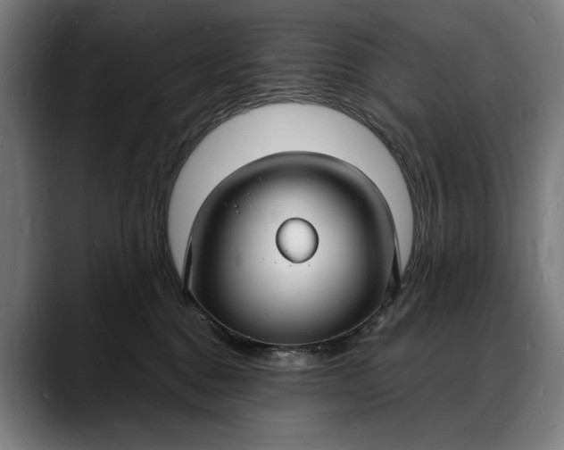 X0000088080376200705251413