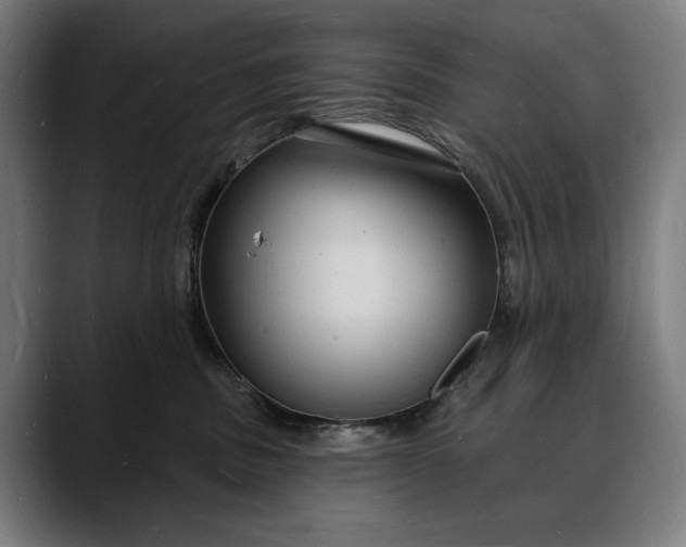 X0000088080379200705251413