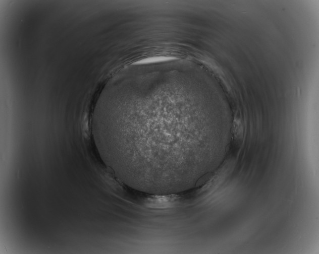 X0000088080381200705251413