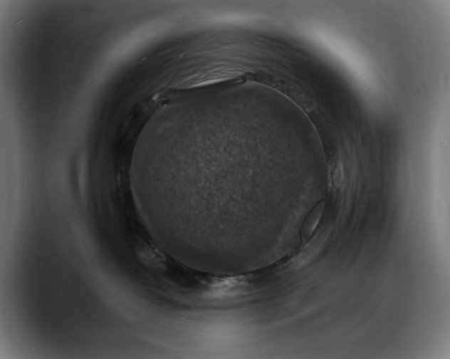 X0000088080382200705251413