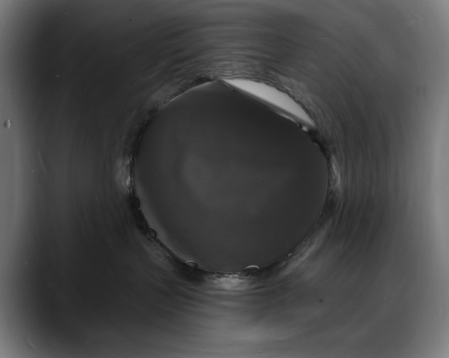 X0000088080383200705251413