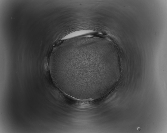 X0000088080384200705251413