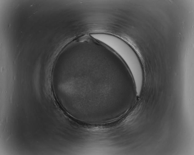 X0000088080385200705251412