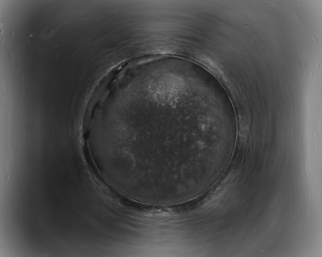 X0000088080386200705251412