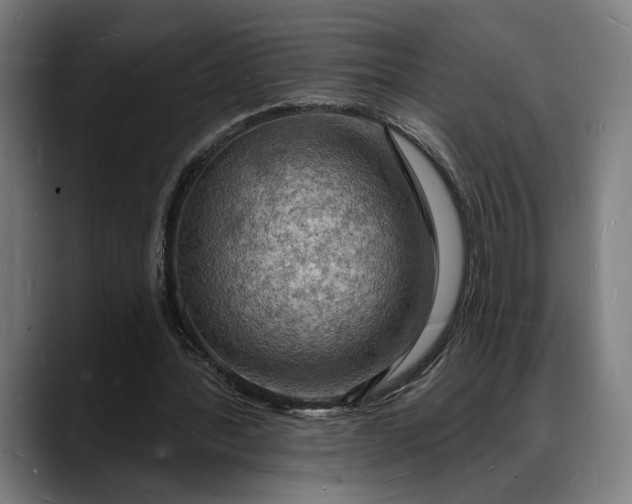 X0000088080388200705251412