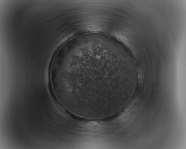 X0000088080390200705251412