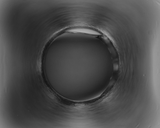 X0000088080391200705251412