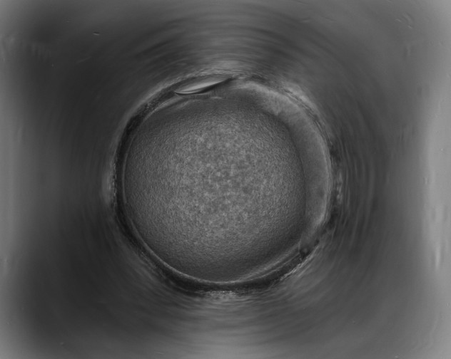 X0000088080392200705251412