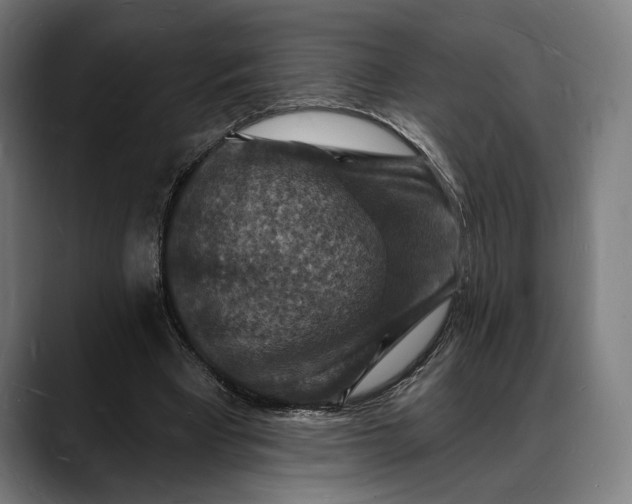 X0000088080393200705251412