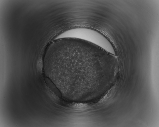 X0000088080397200705251412