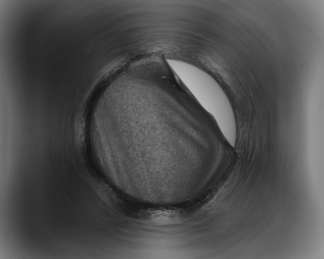 X0000088080400200705251412