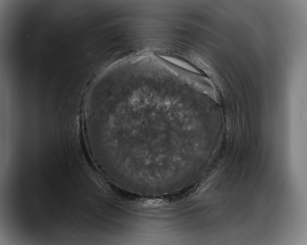 X0000088080401200705251412