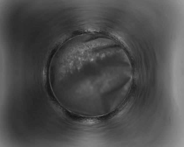X0000088080402200705251412