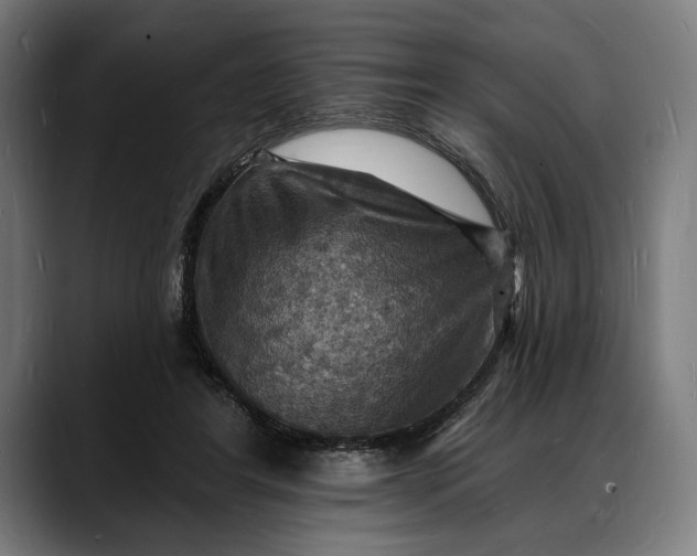 X0000088080404200705251412