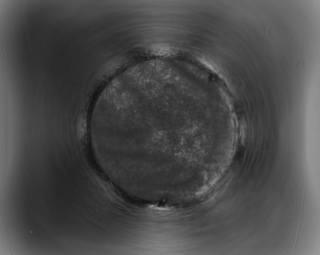 X0000088080407200705251412