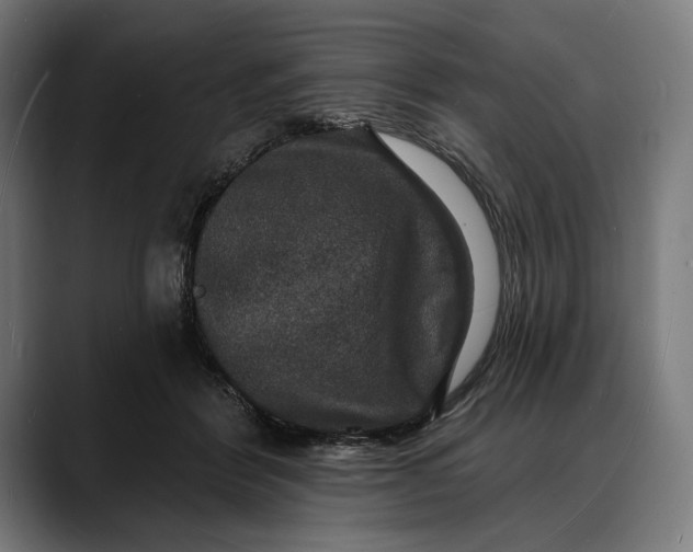 X0000088080412200705251412