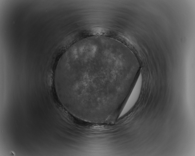 X0000088080413200705251412