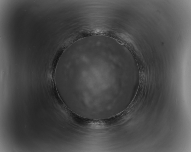 X0000088080415200705251412