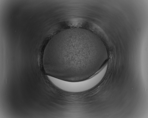 X0000088080416200705251412