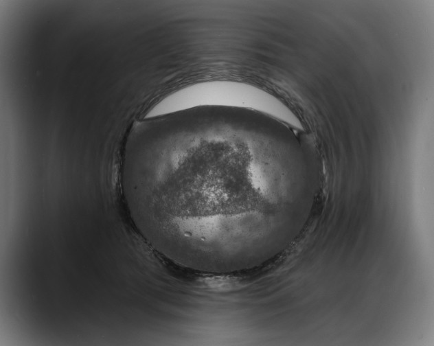 X0000088080417200705251412