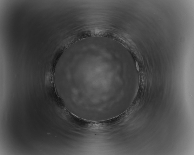 X0000088080419200705251412