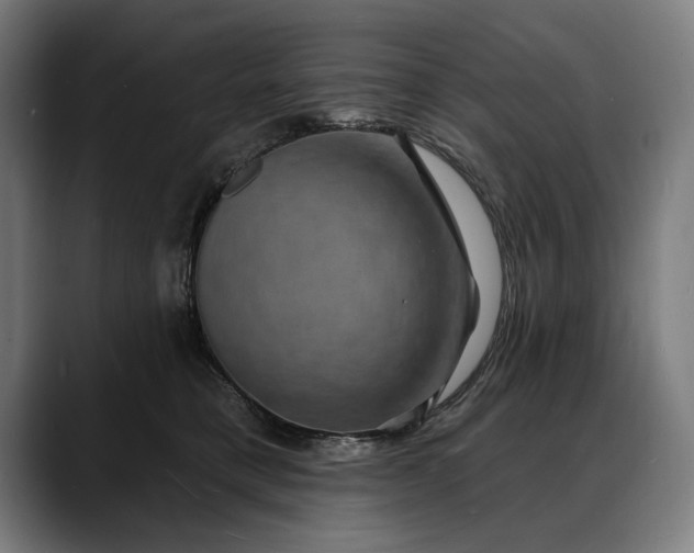 X0000088080421200705251412