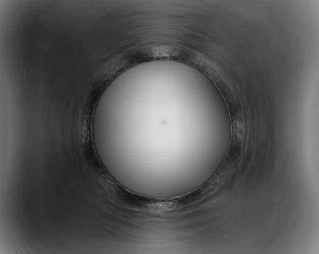 X0000088080422200705251412