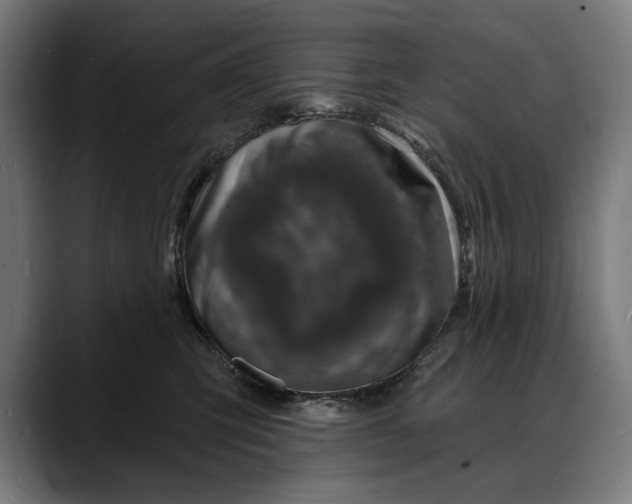 X0000088080423200705251412