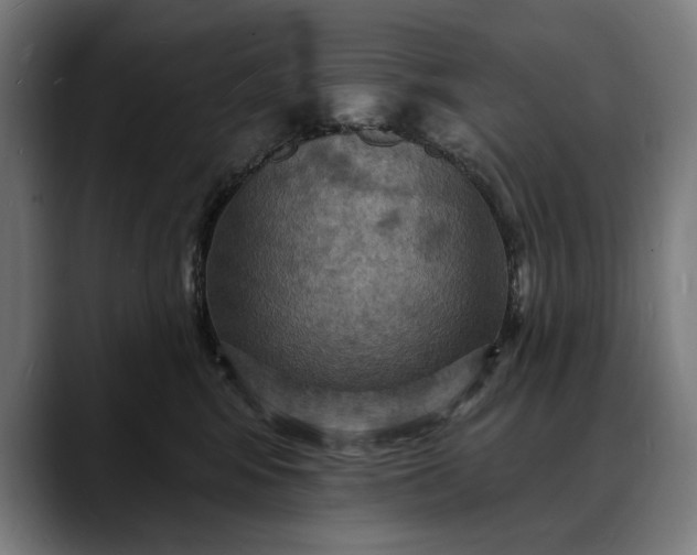 X0000088080424200705251412