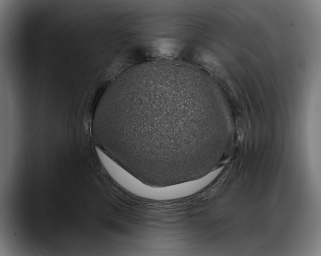 X0000088080425200705251412
