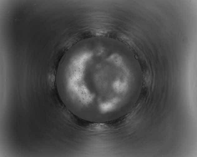 X0000088080427200705251412