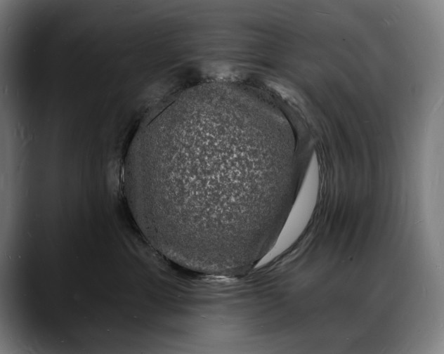 X0000088080429200705251412