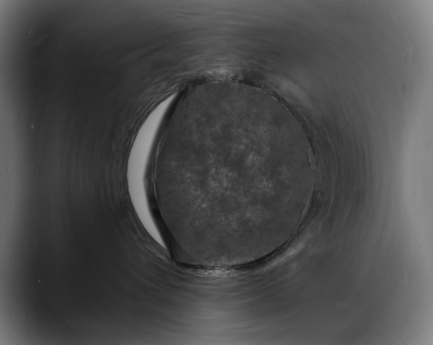 X0000088080432200705251412
