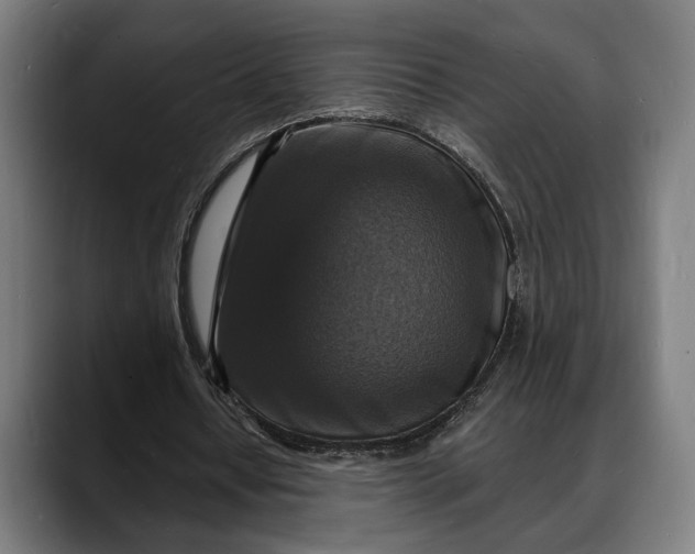 X0000088080434200705251411
