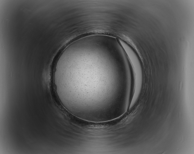 X0000088080435200705251411