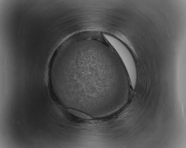 X0000088080436200705251411