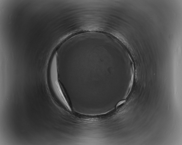 X0000088080438200705251411