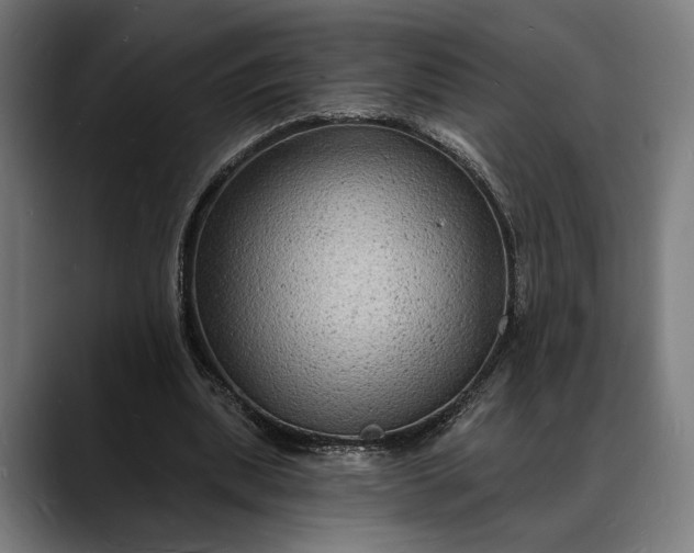 X0000088080439200705251411